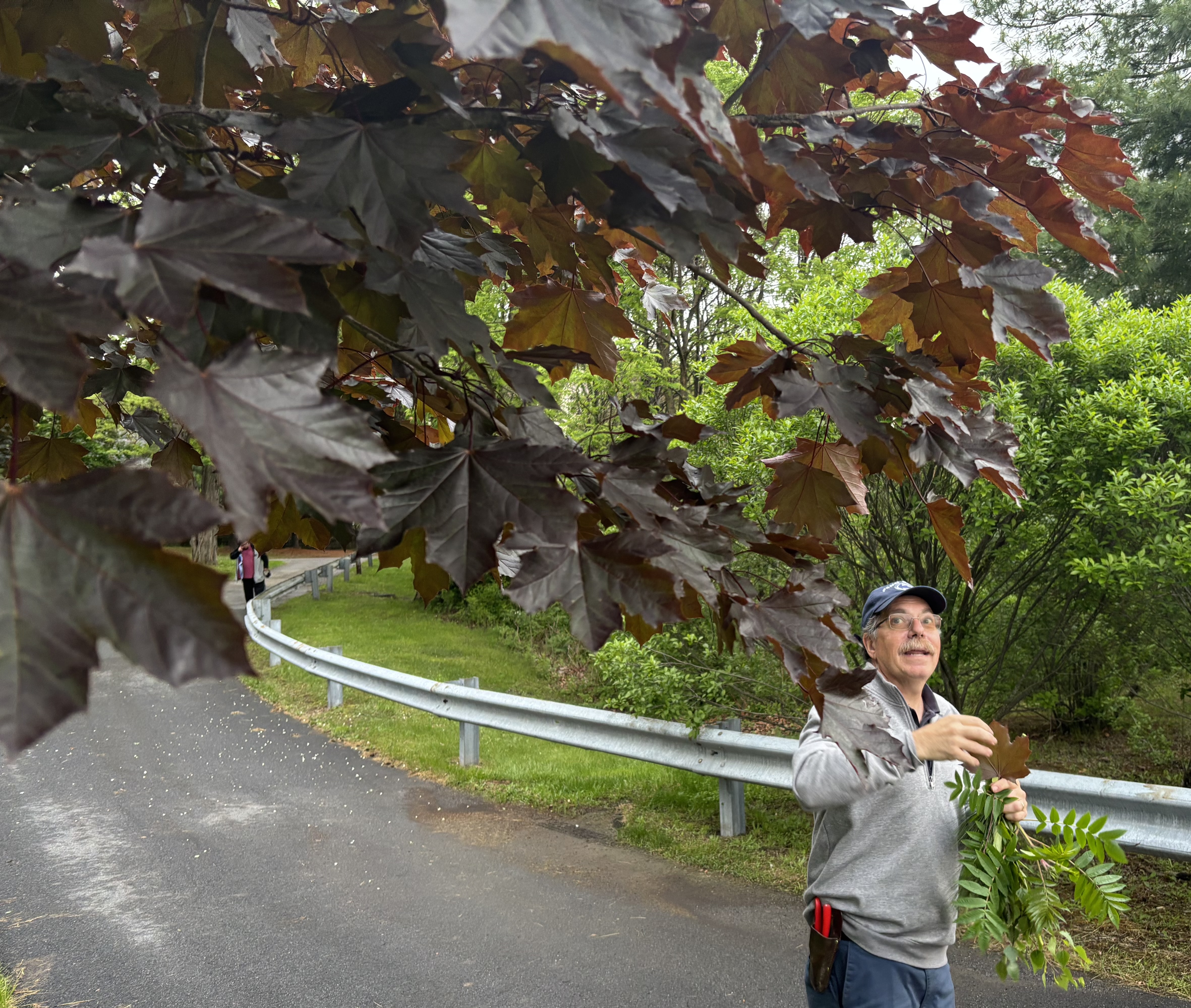 Nature, Knowledge, and Legacy: Yeager Arboretum Walk Blossoms with Community Spirit