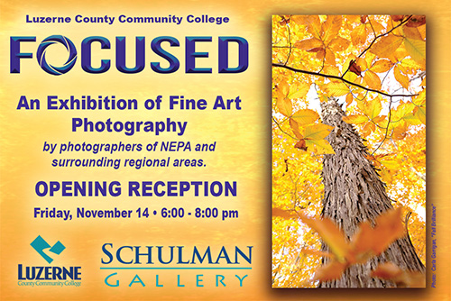 LCCC Schulman Gallery to Present The FOCUSED Exhibition This November