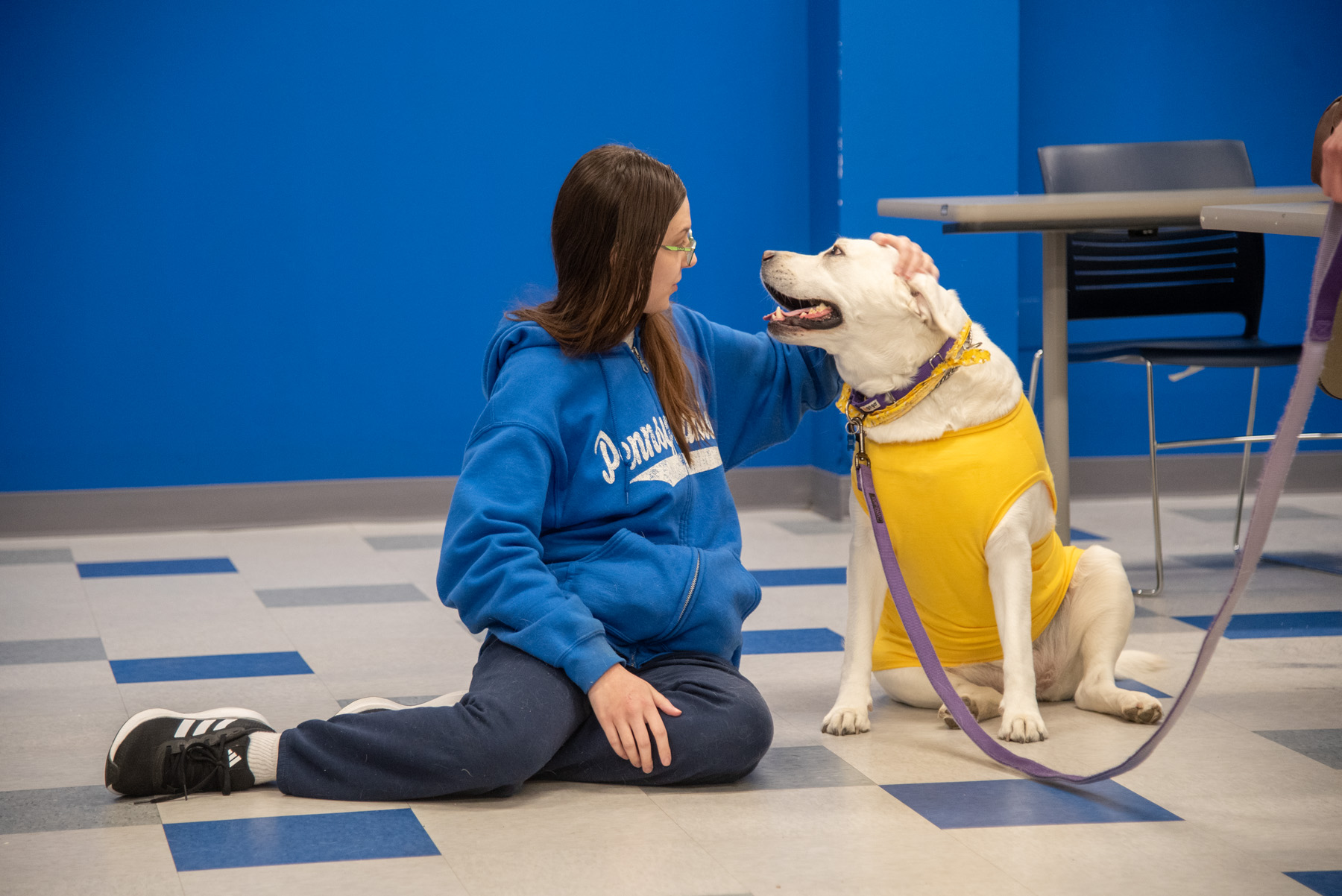 Therapy dogs offer fun and relaxing distraction for students