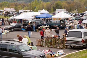 19th Annual Flea Market and Collectibles Show
